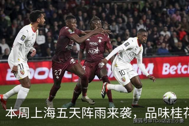 本周上海五天阵雨来袭，品味桂花香气的温暖时光